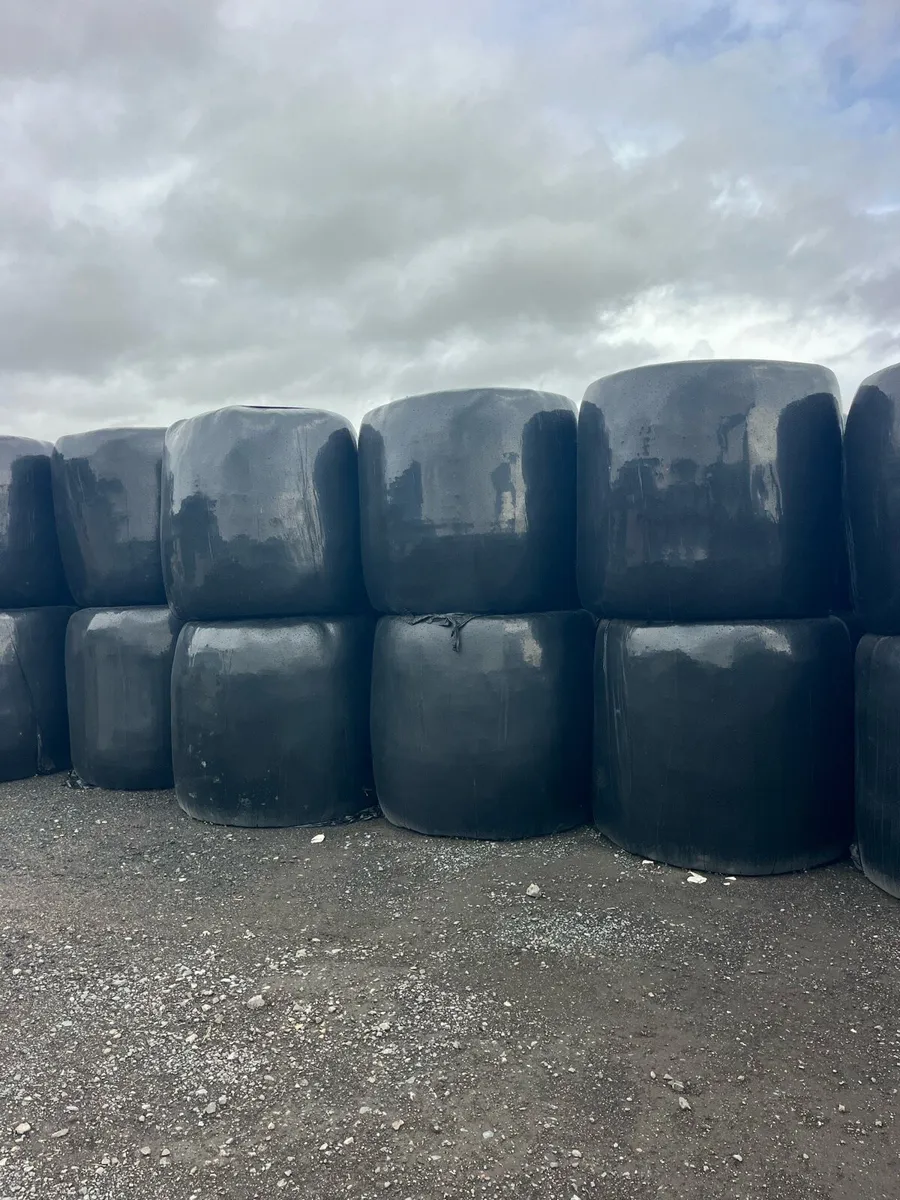Silage chopped and Haylage - Image 2