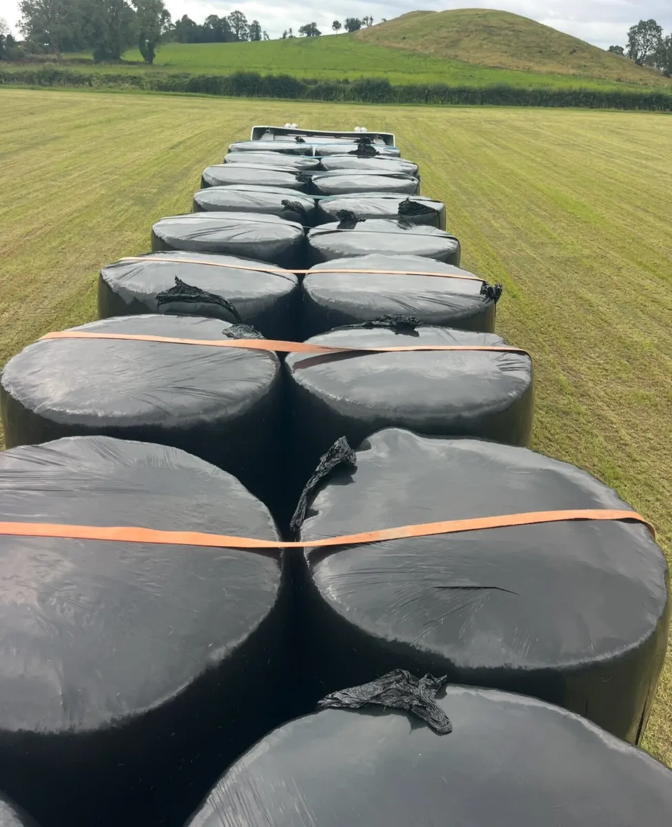 Silage chopped and Haylage - Image 3