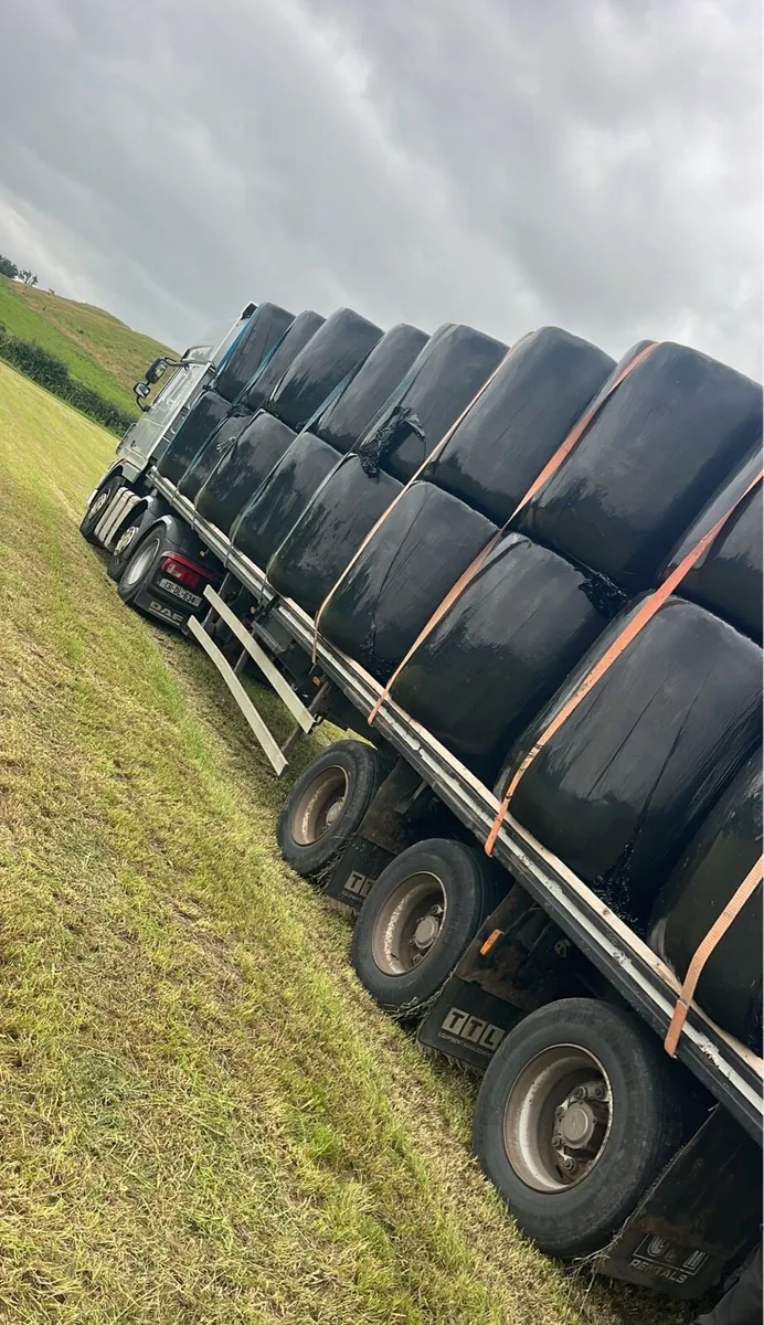 Silage chopped and Haylage - Image 1