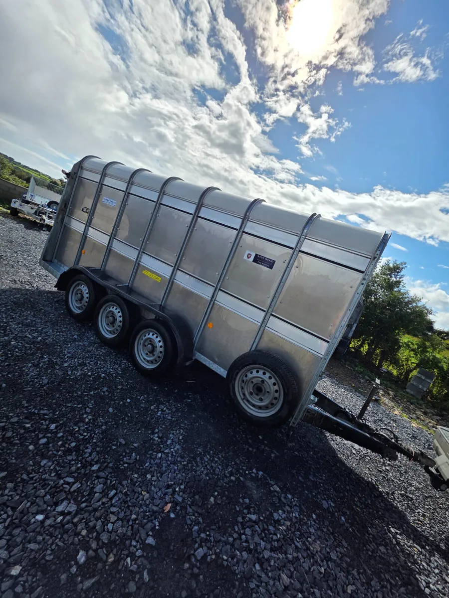 14ft ifor Williams cattle trailer - Image 1