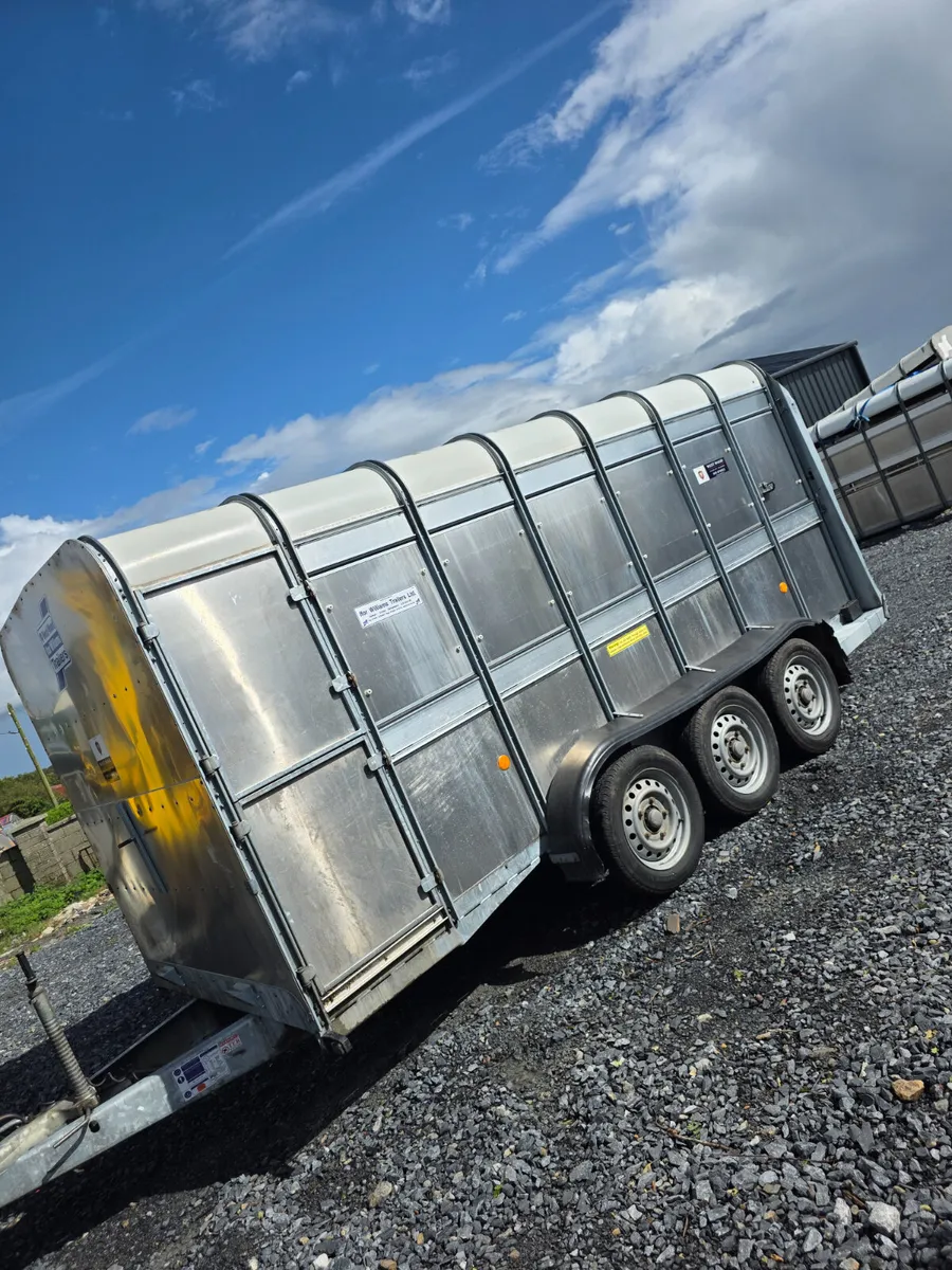 14ft ifor Williams cattle trailer - Image 2
