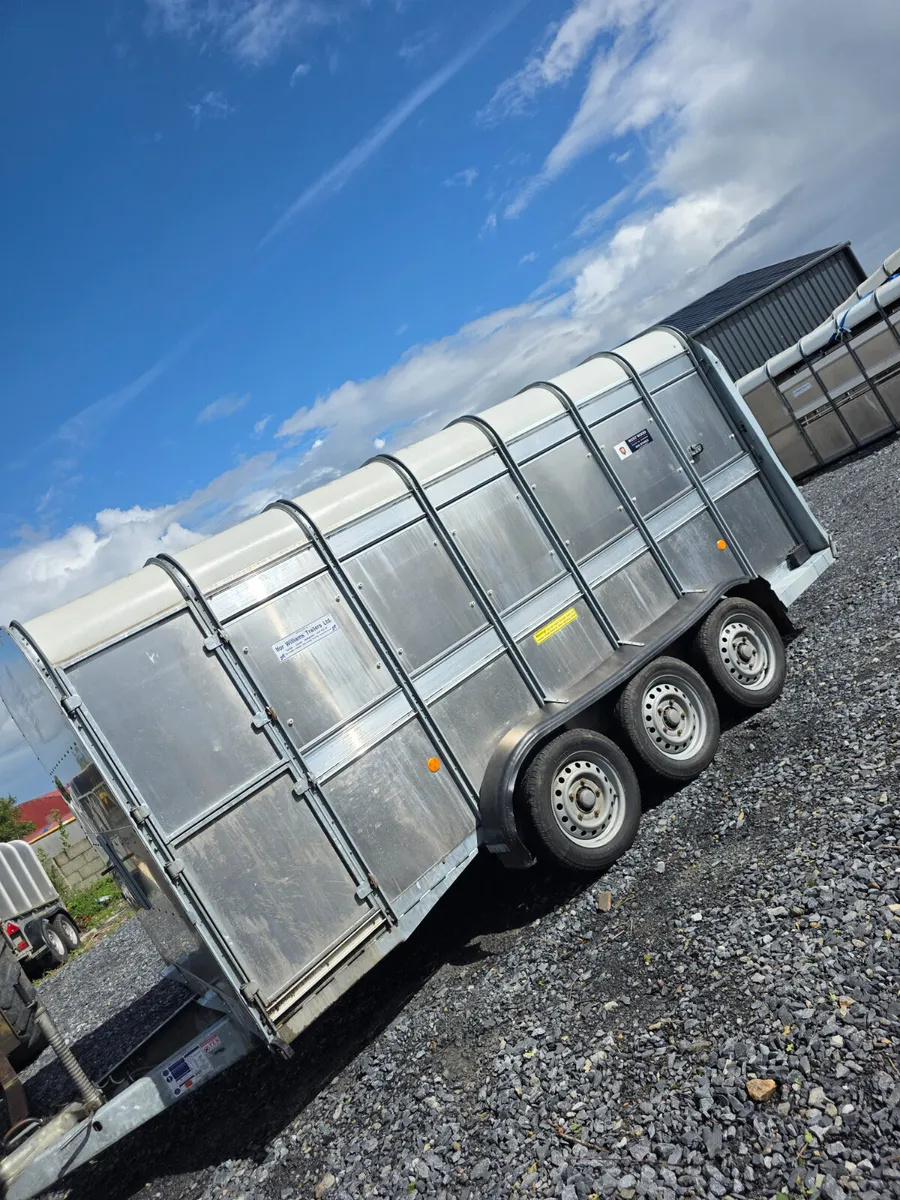 14ft ifor Williams cattle trailer - Image 4