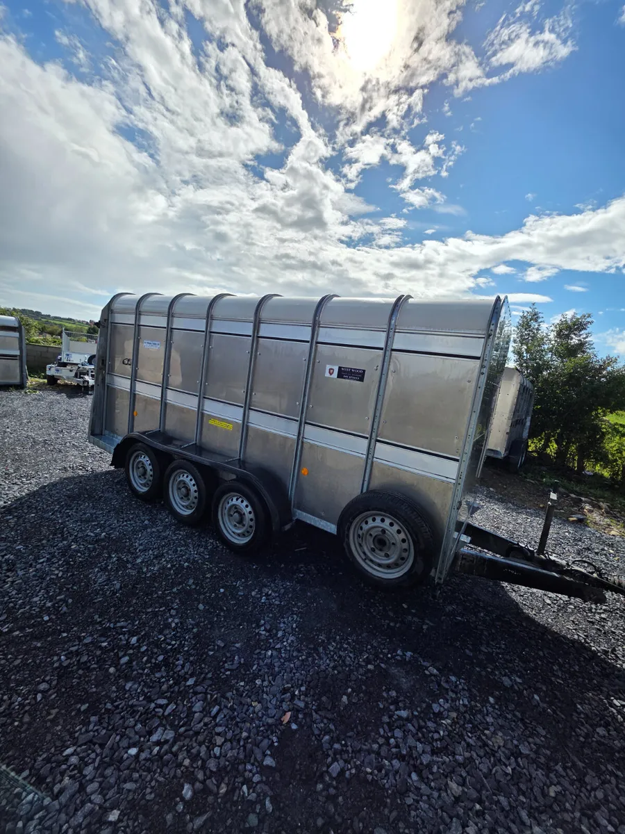 14ft ifor Williams cattle trailer - Image 3