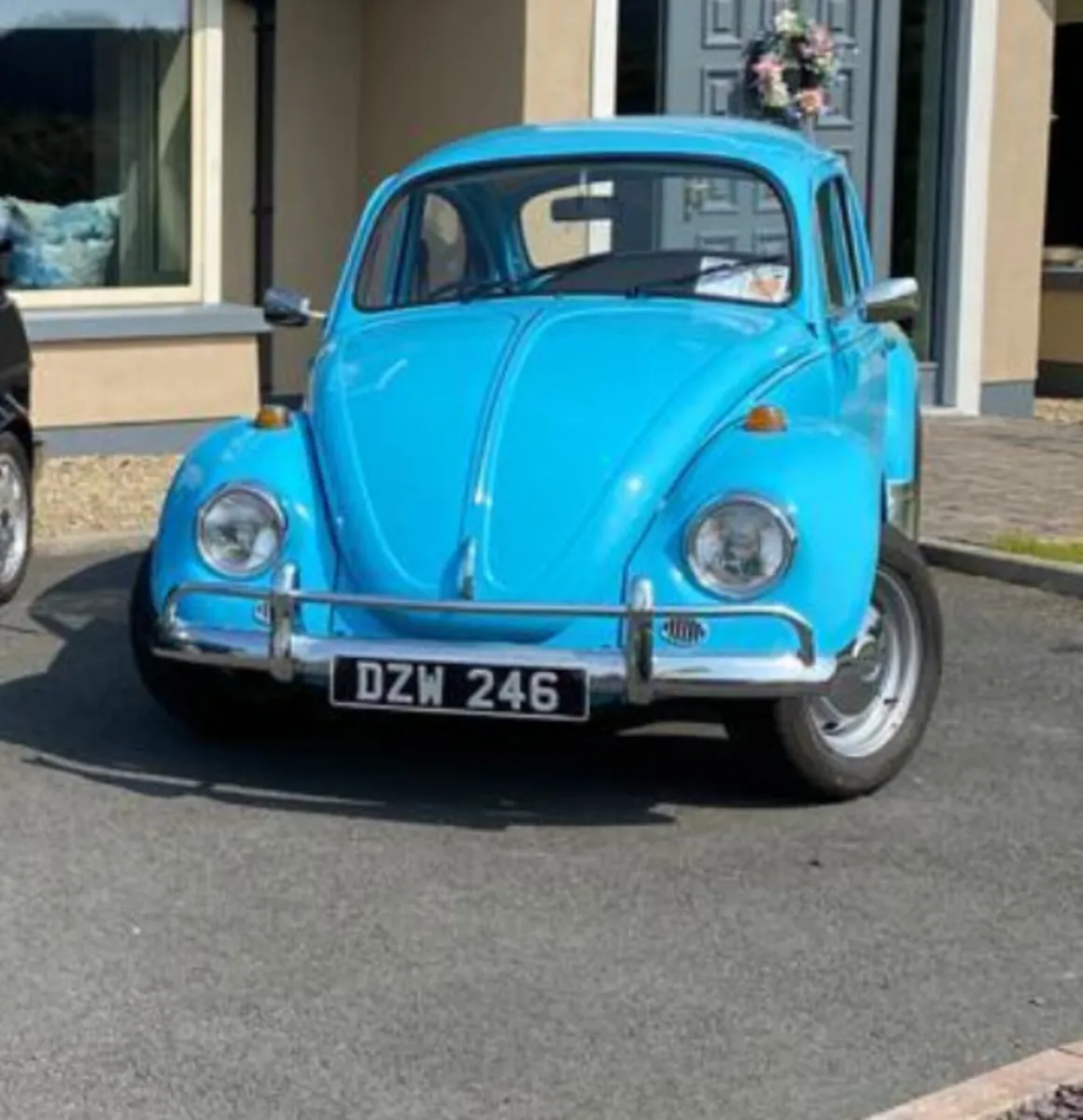 Vw beetle - Image 1