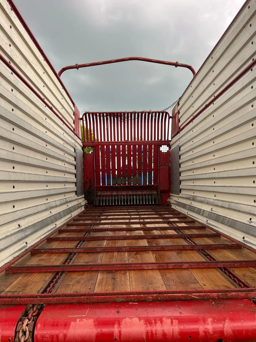 STRAUTMANN WAGON - Image 3