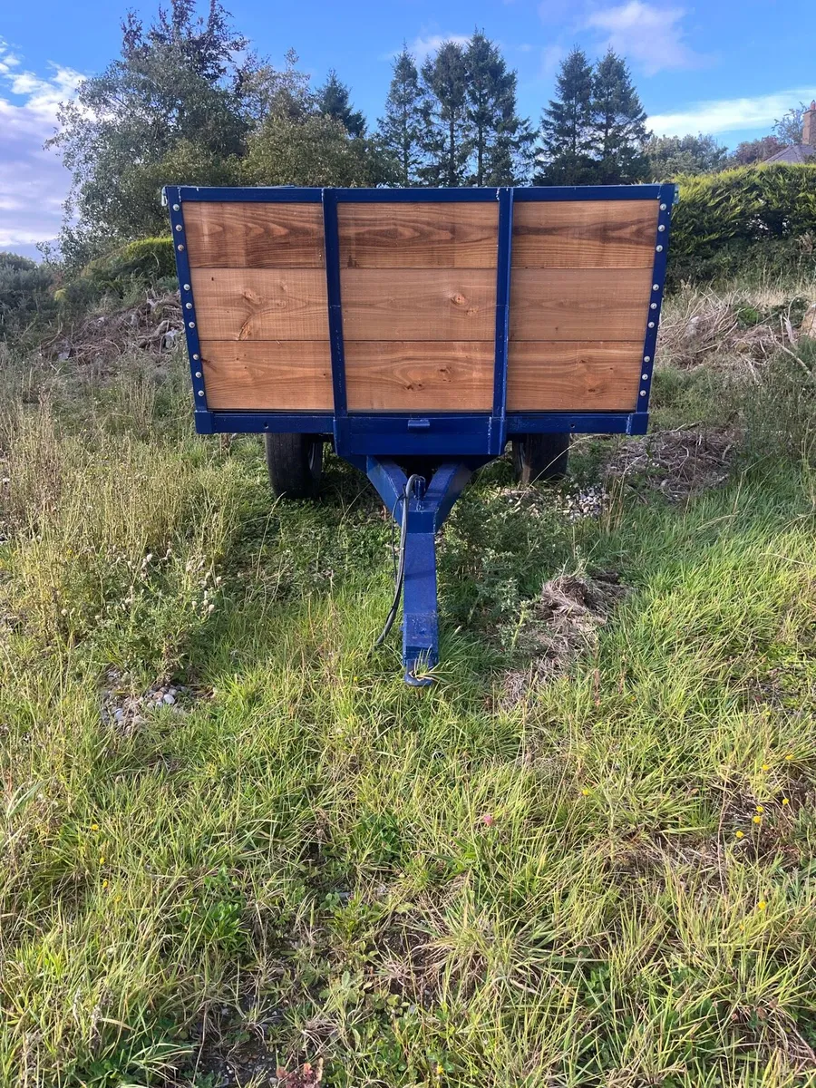 Tipping trailer - Image 2