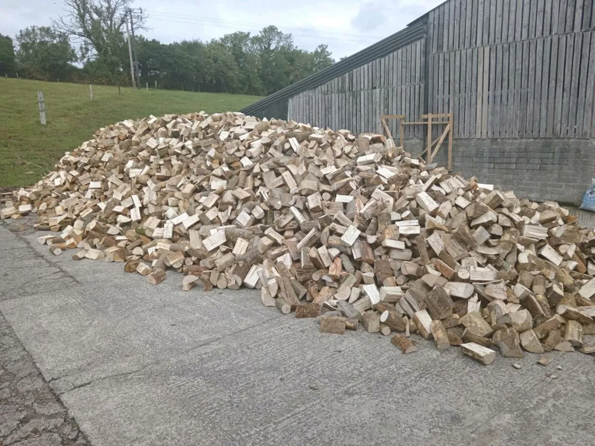 Firewood - Image 1