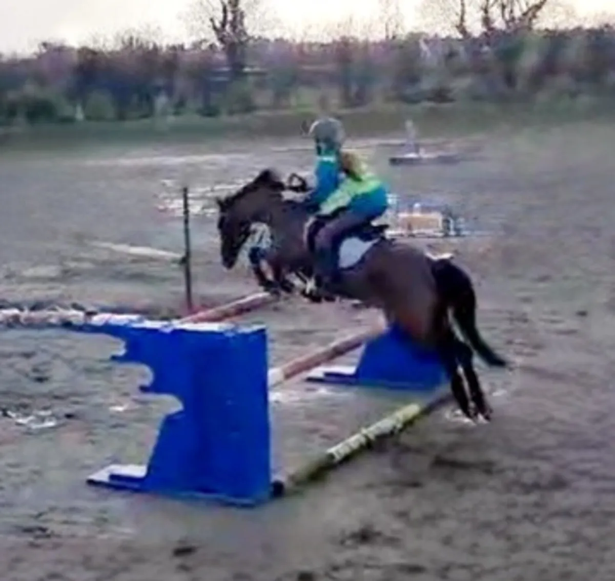 Competition Pony 12.2 - Image 4