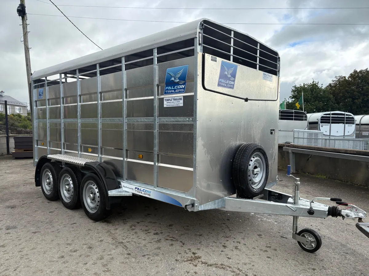 New Falcon 14x6 Tri-Axle Cattle Trailer - Image 1