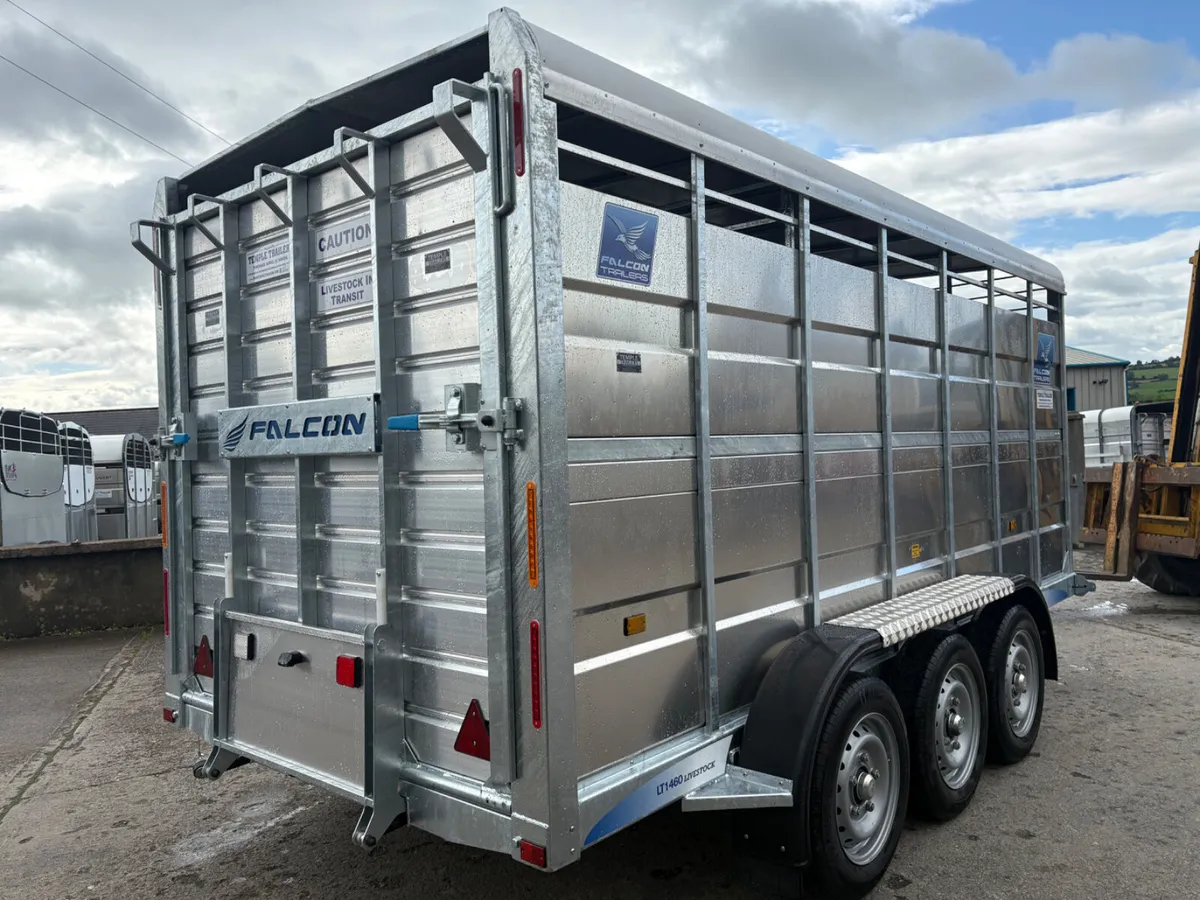 New Falcon 14x6 Tri-Axle Cattle Trailer - Image 4