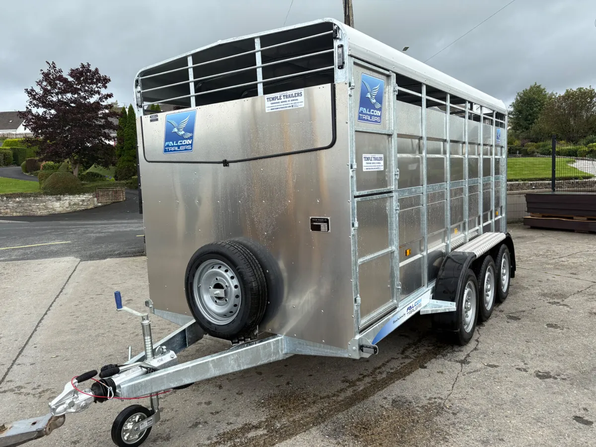 New Falcon 14x6 Tri-Axle Cattle Trailer - Image 2