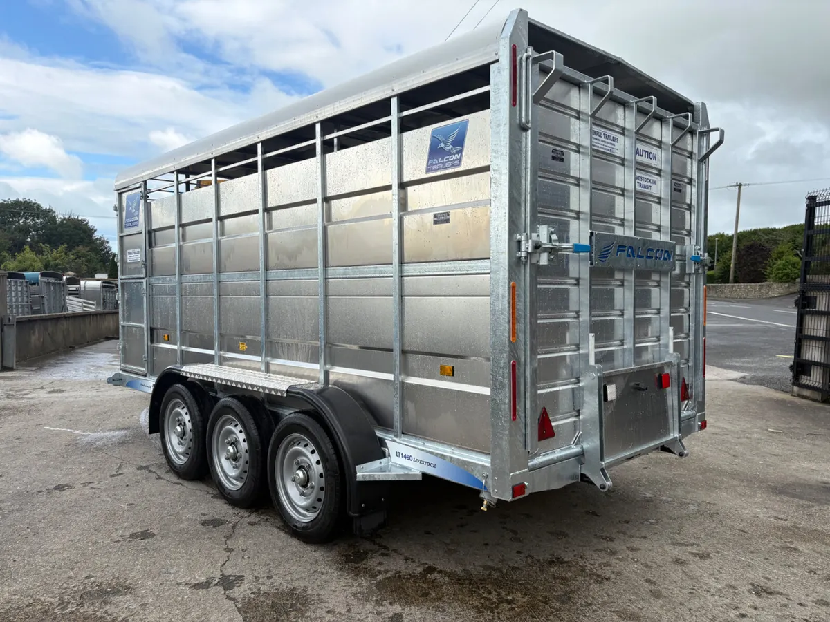 New Falcon 14x6 Tri-Axle Cattle Trailer - Image 3