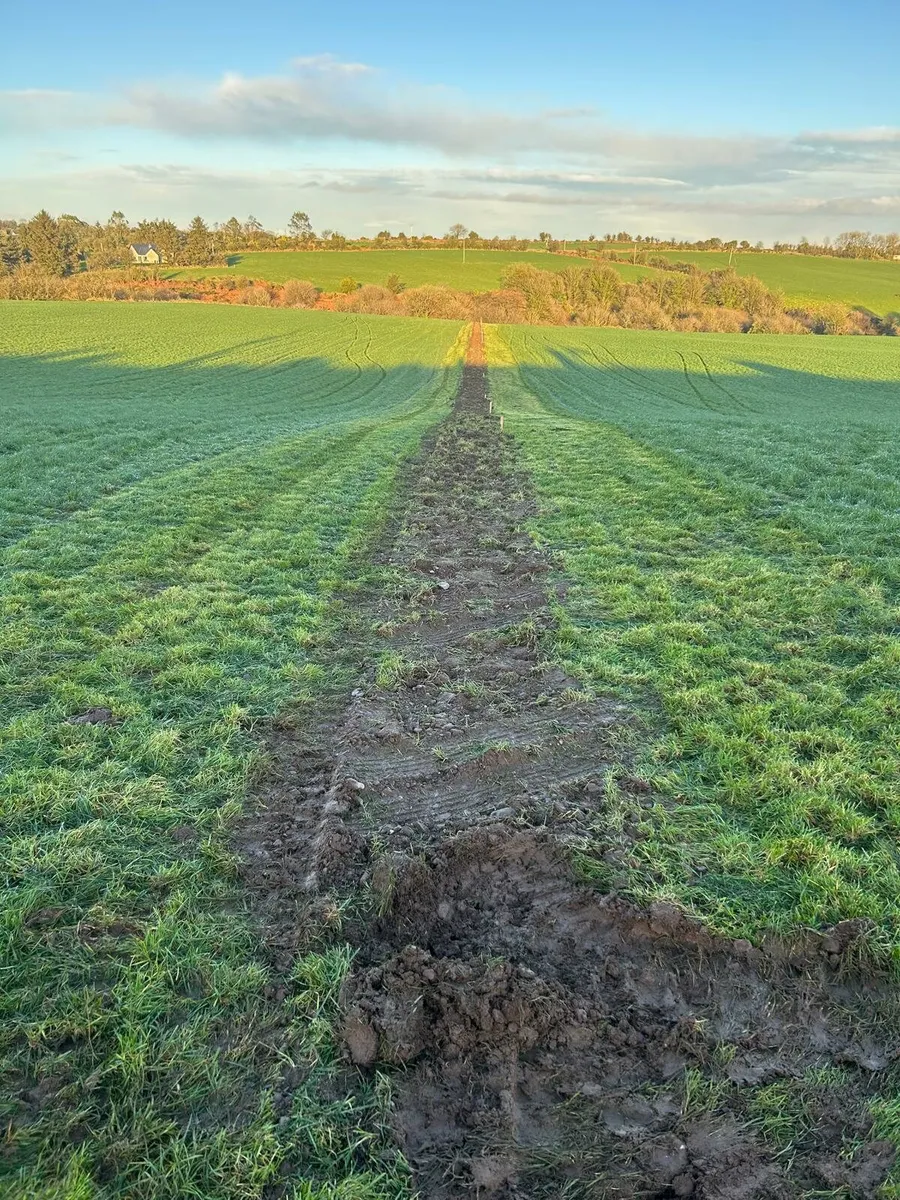 Acres scheme trees and planting nationwide - Image 1