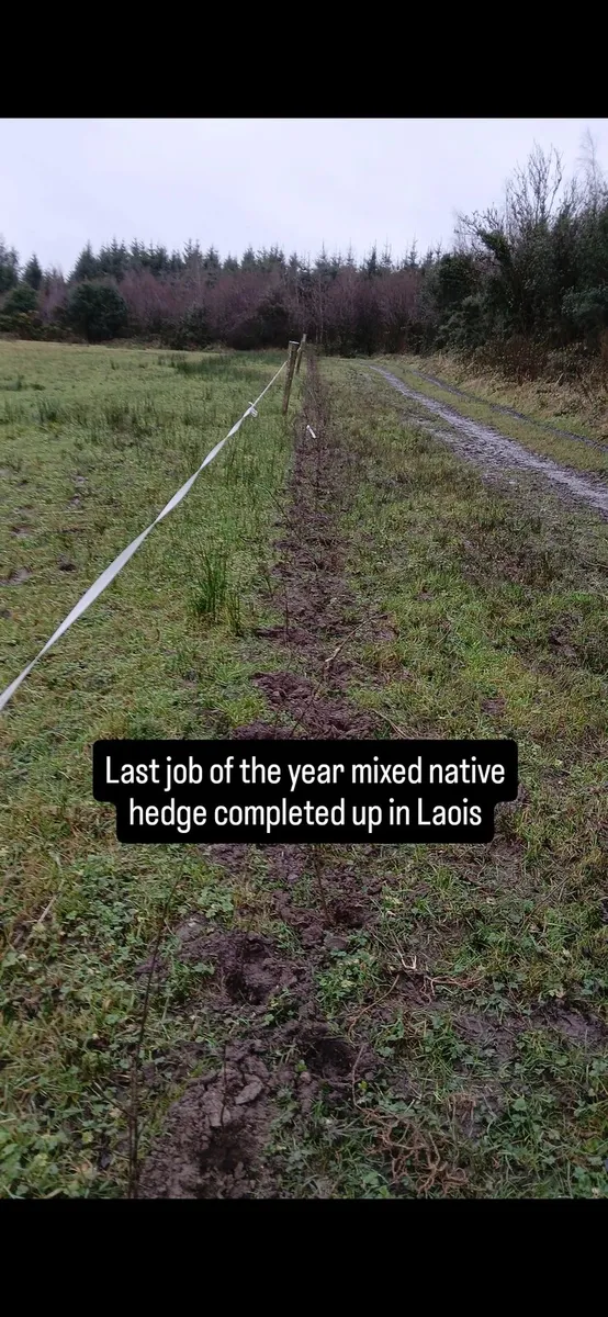 Acres scheme trees and planting nationwide - Image 2