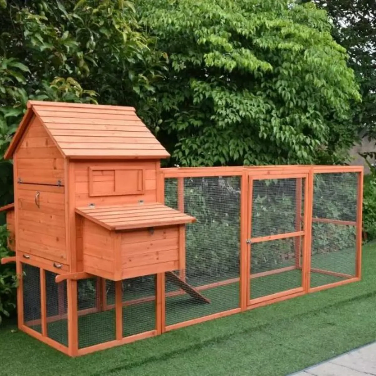 The Eggland Chicken Coop – 6-9 Birds – Natural Woo - Image 1