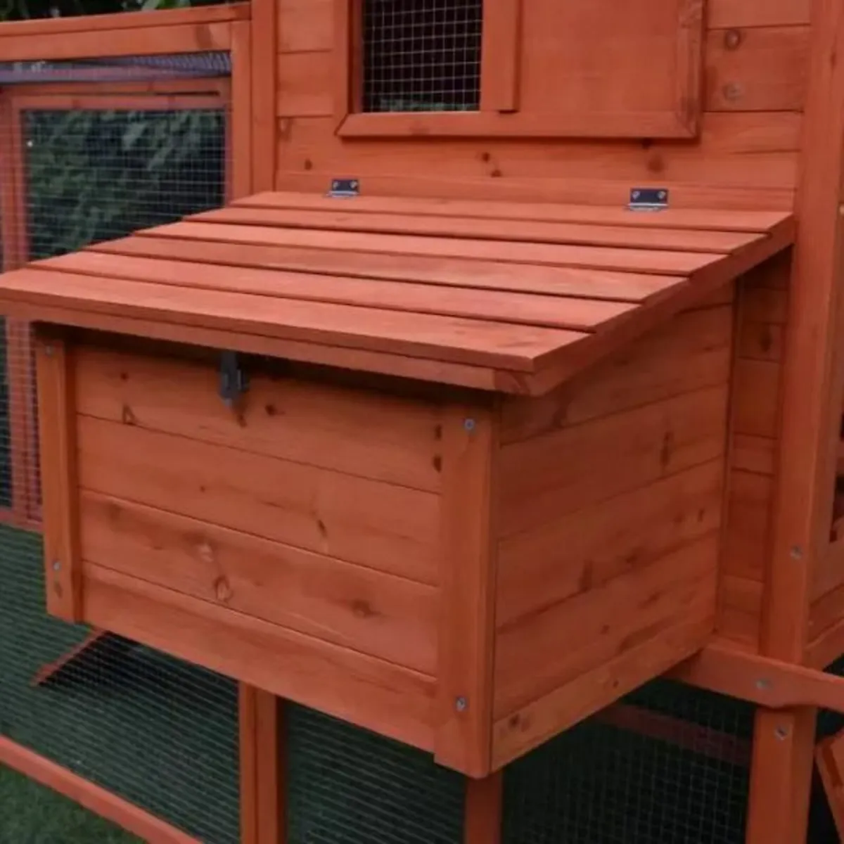 The Eggland Chicken Coop – 6-9 Birds – Natural Woo - Image 2