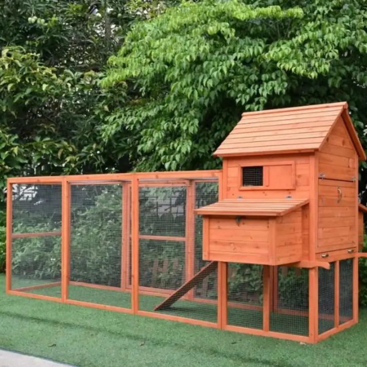 The Eggland Chicken Coop – 6-9 Birds – Natural Woo - Image 4