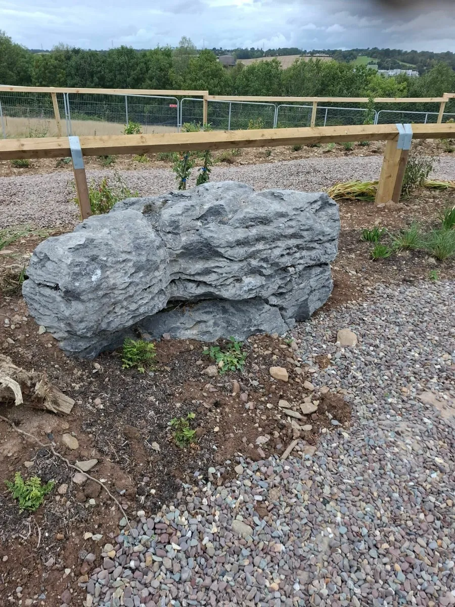 Karst Weathered Limestone - Image 2