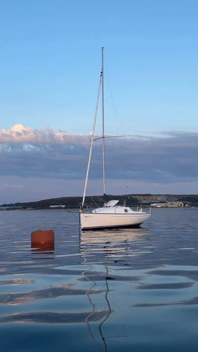 Jeanneau sun 2000 Daysailer - Image 1