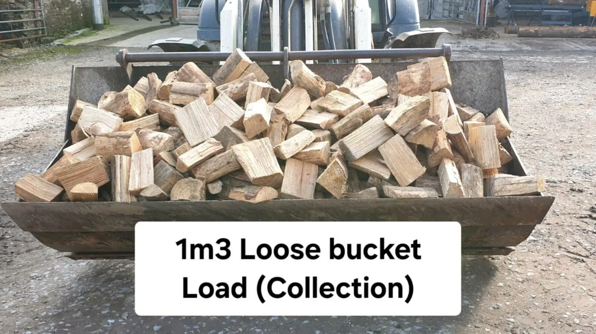 Firewood - collect your own - Image 1