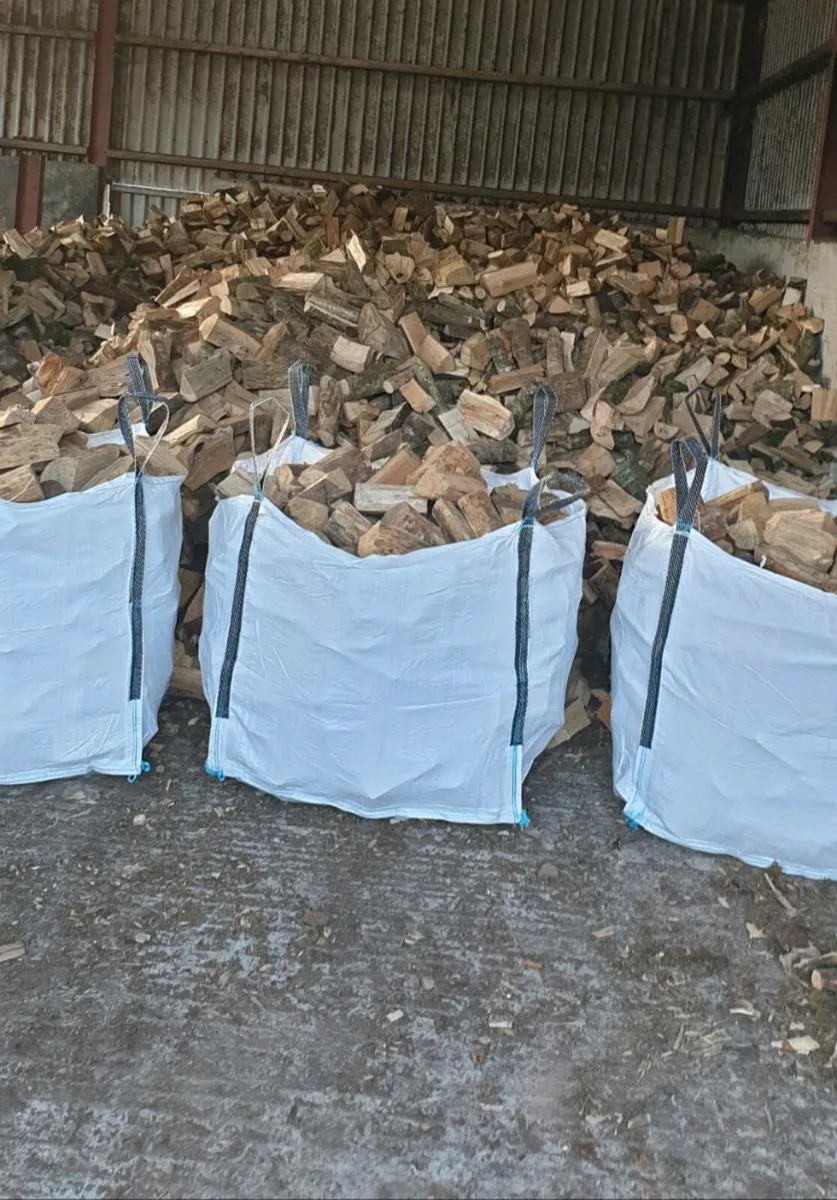 Firewood - collect your own - Image 2