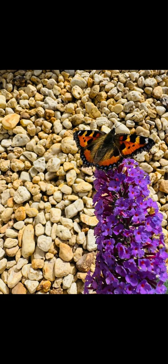 Gravestones memorial pebbles Black Polished Pebble - Image 4