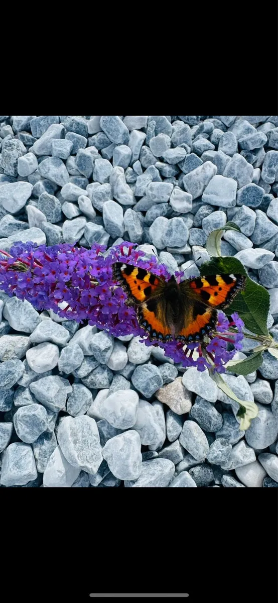Gravestones memorial pebbles Black Polished Pebble - Image 2