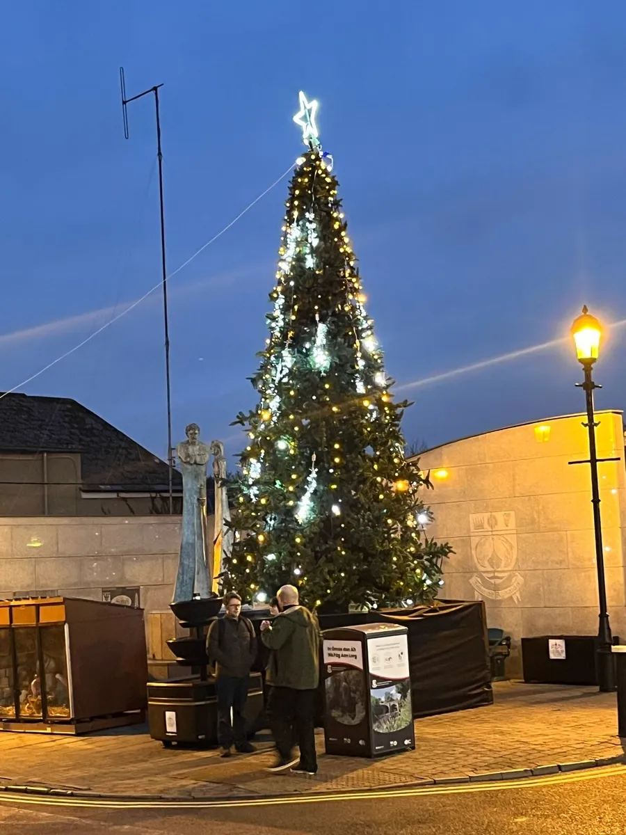 Large Christmas Trees 15-40ft - Image 2