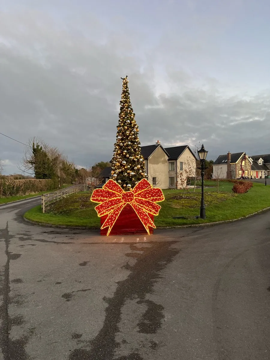 Large Christmas Trees 15-40ft - Image 4