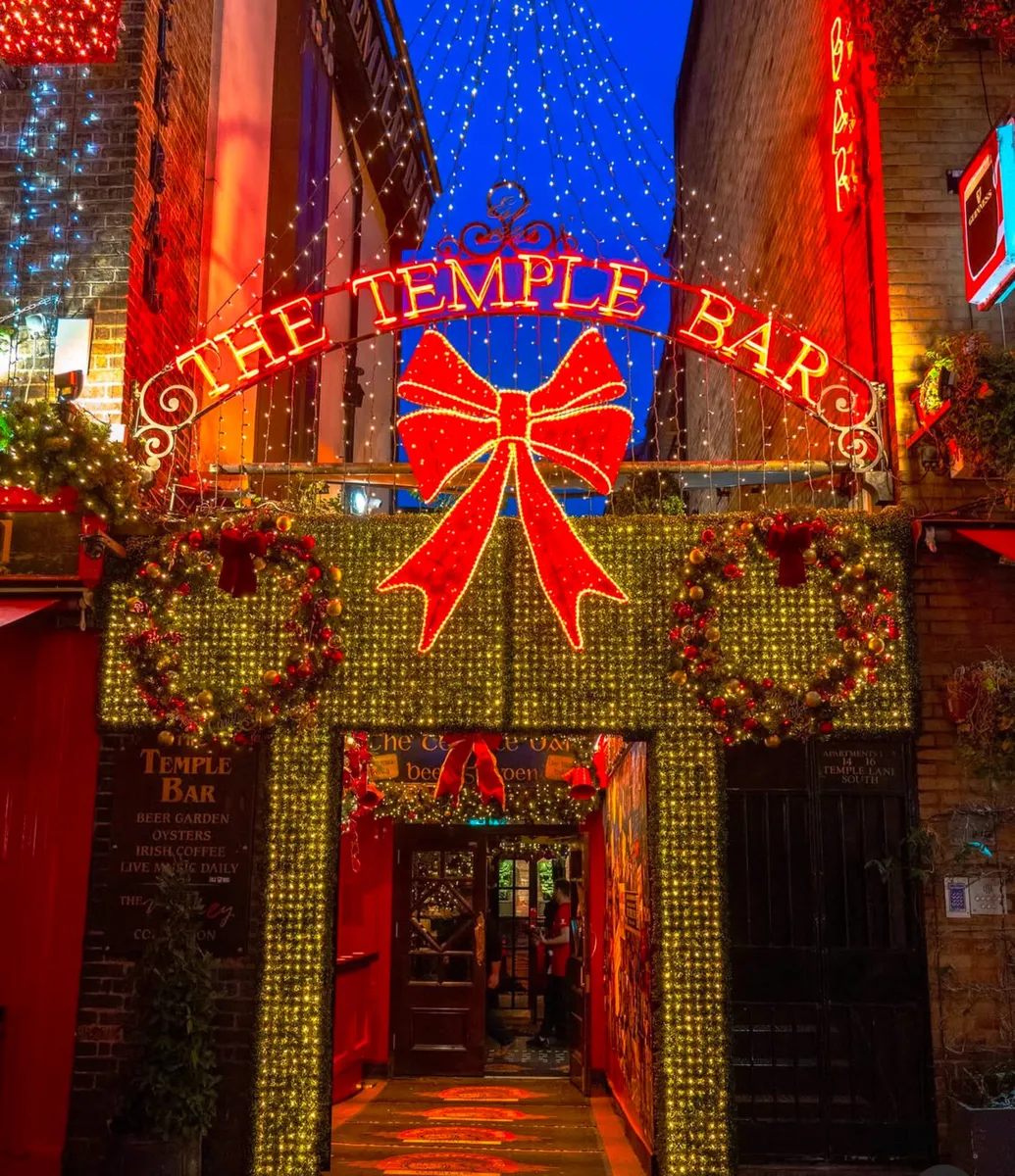 Christmas light packages, large tree, etc - Image 1