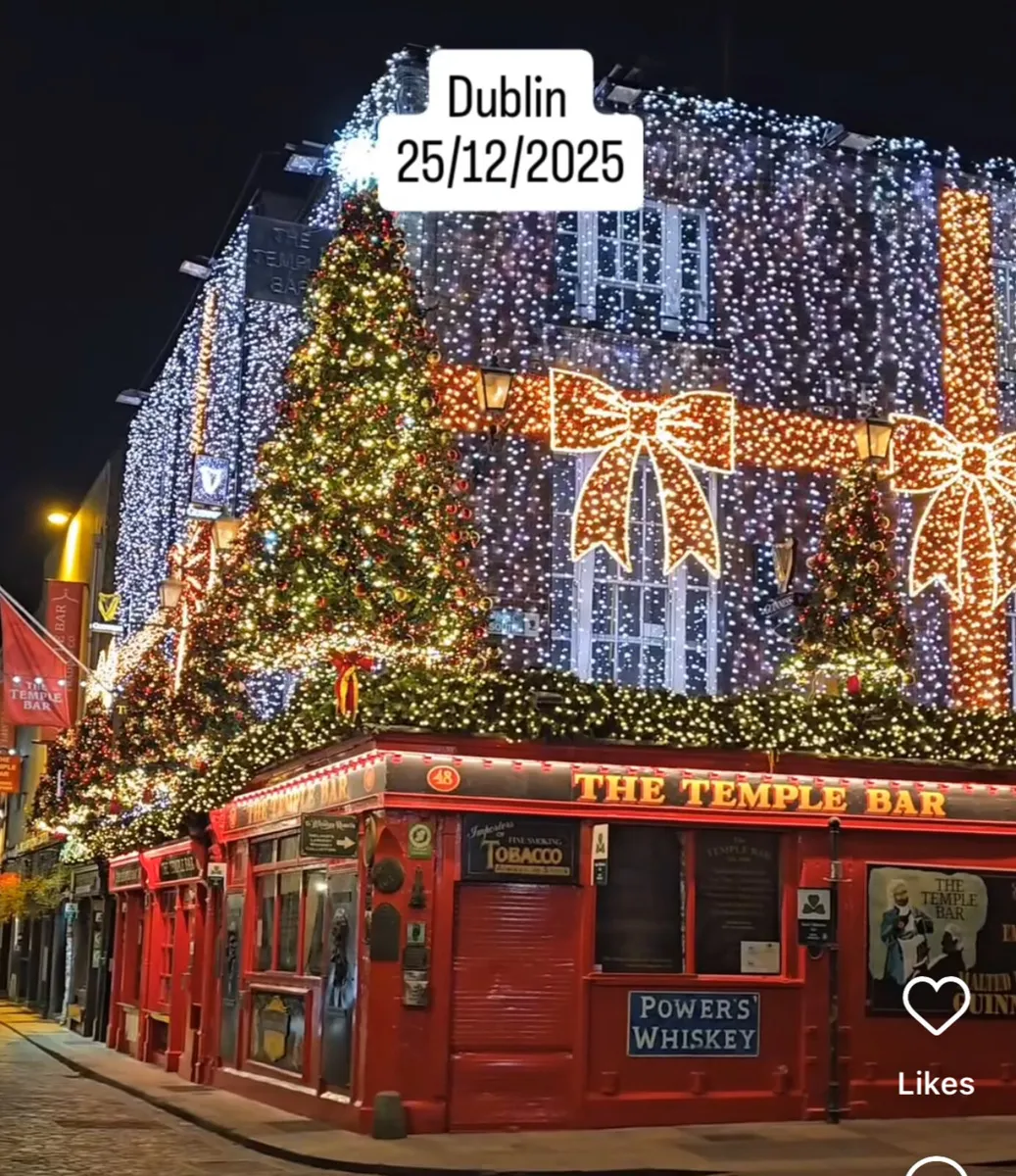 Christmas light packages, large tree, etc - Image 2