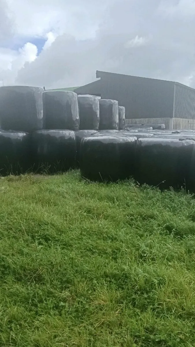 Silage bales