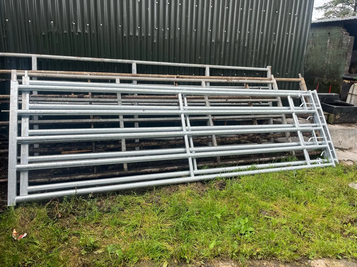 Farm gates - Image 4