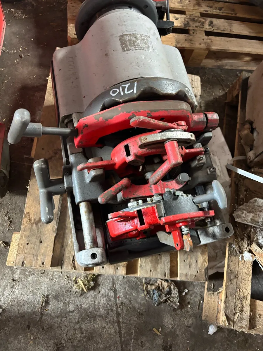 DIE HEADS ROTHENBERGER/ ASADA / RECORD - Image 2