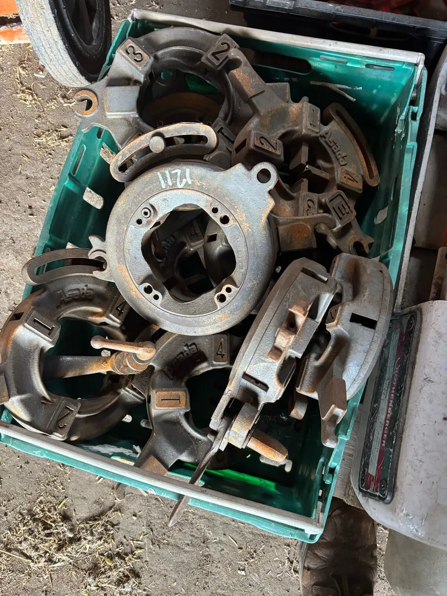 DIE HEADS ROTHENBERGER/ ASADA / RECORD - Image 3