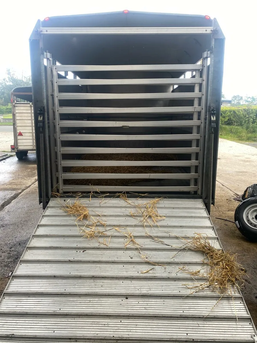 Cattle trailer - Image 3