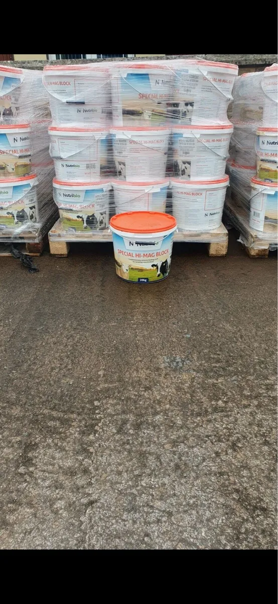 Coal and Gas - Image 4