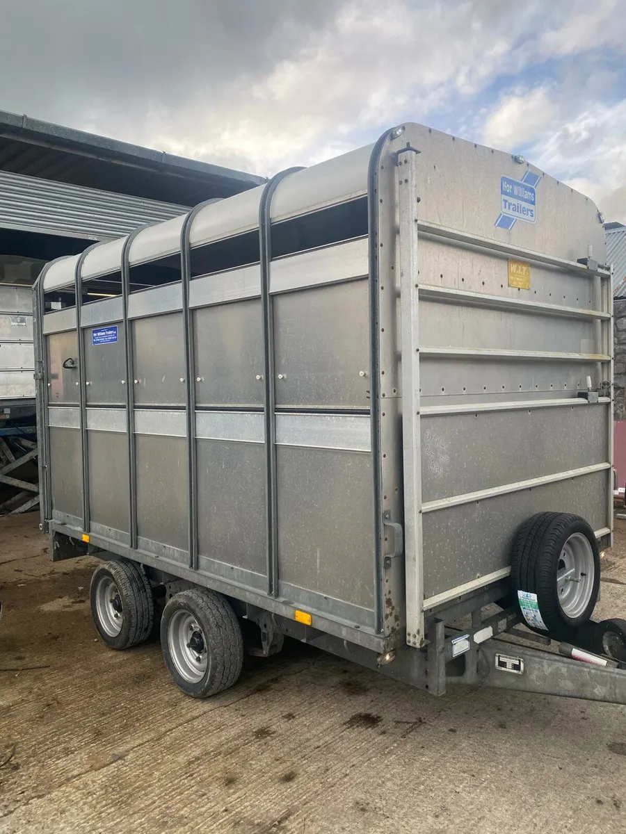 Cattle trailer - Image 4