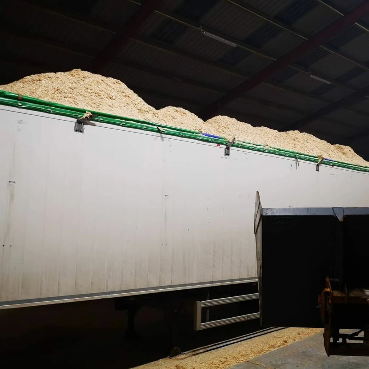 Cubicle bedding, Sawdust bagged LimeXfuse - Image 2