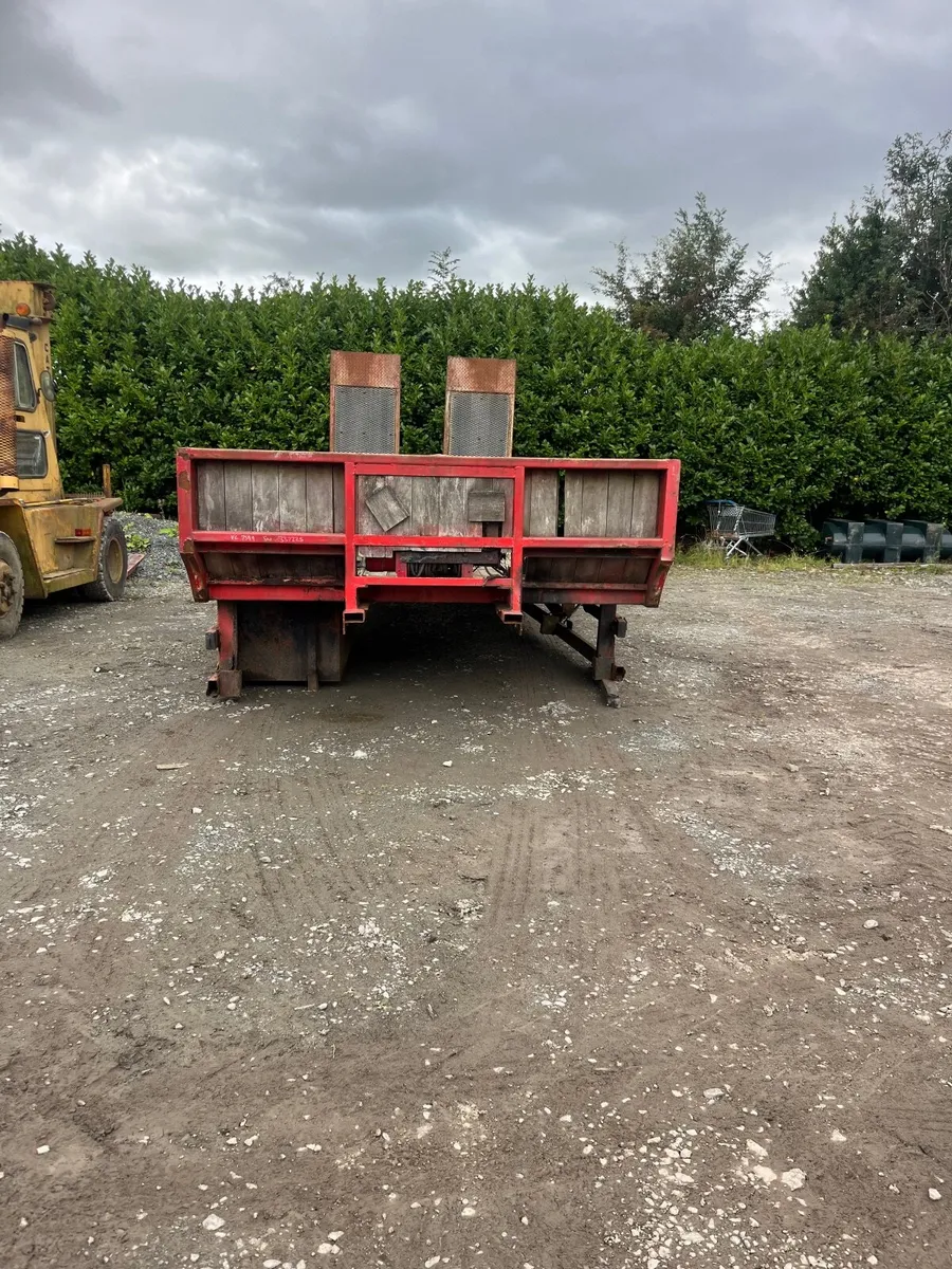 Bever tail plant body - Image 3