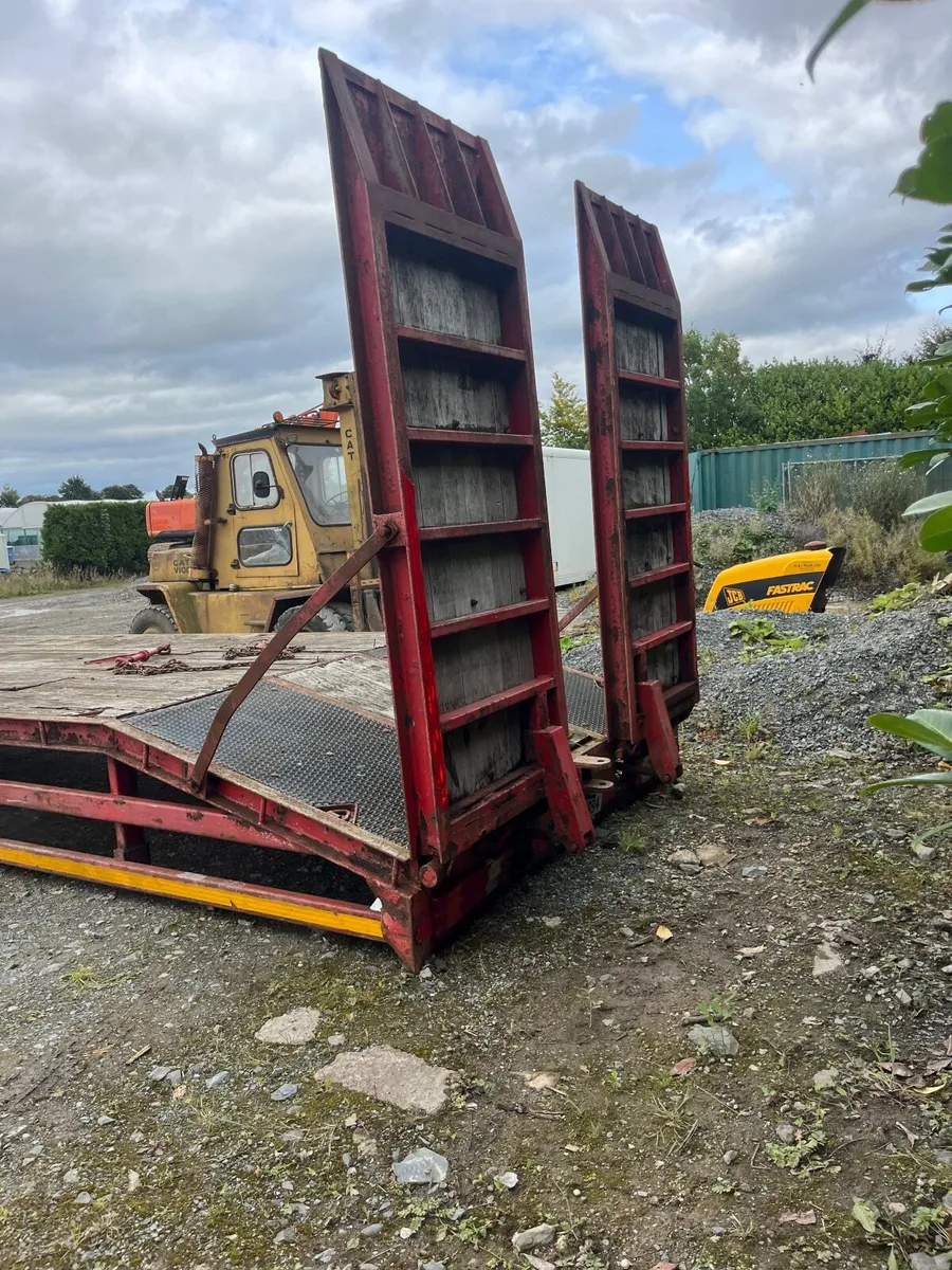 Bever tail plant body - Image 4