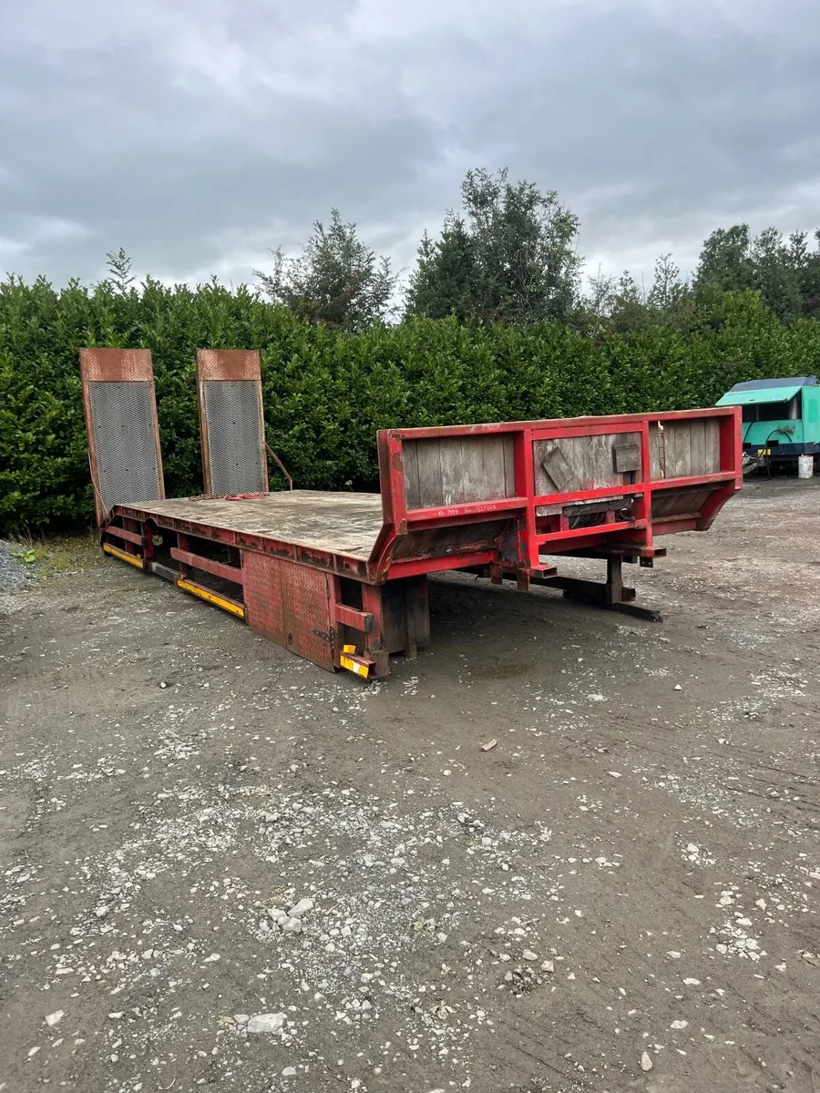 Bever tail plant body - Image 1