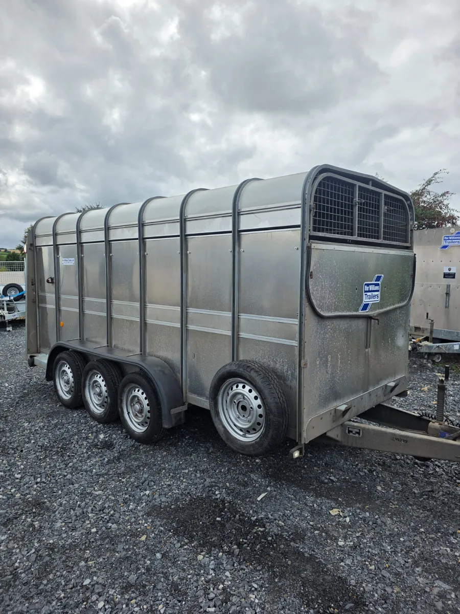 14ft ifor Williams cattle trailer as new - Image 1