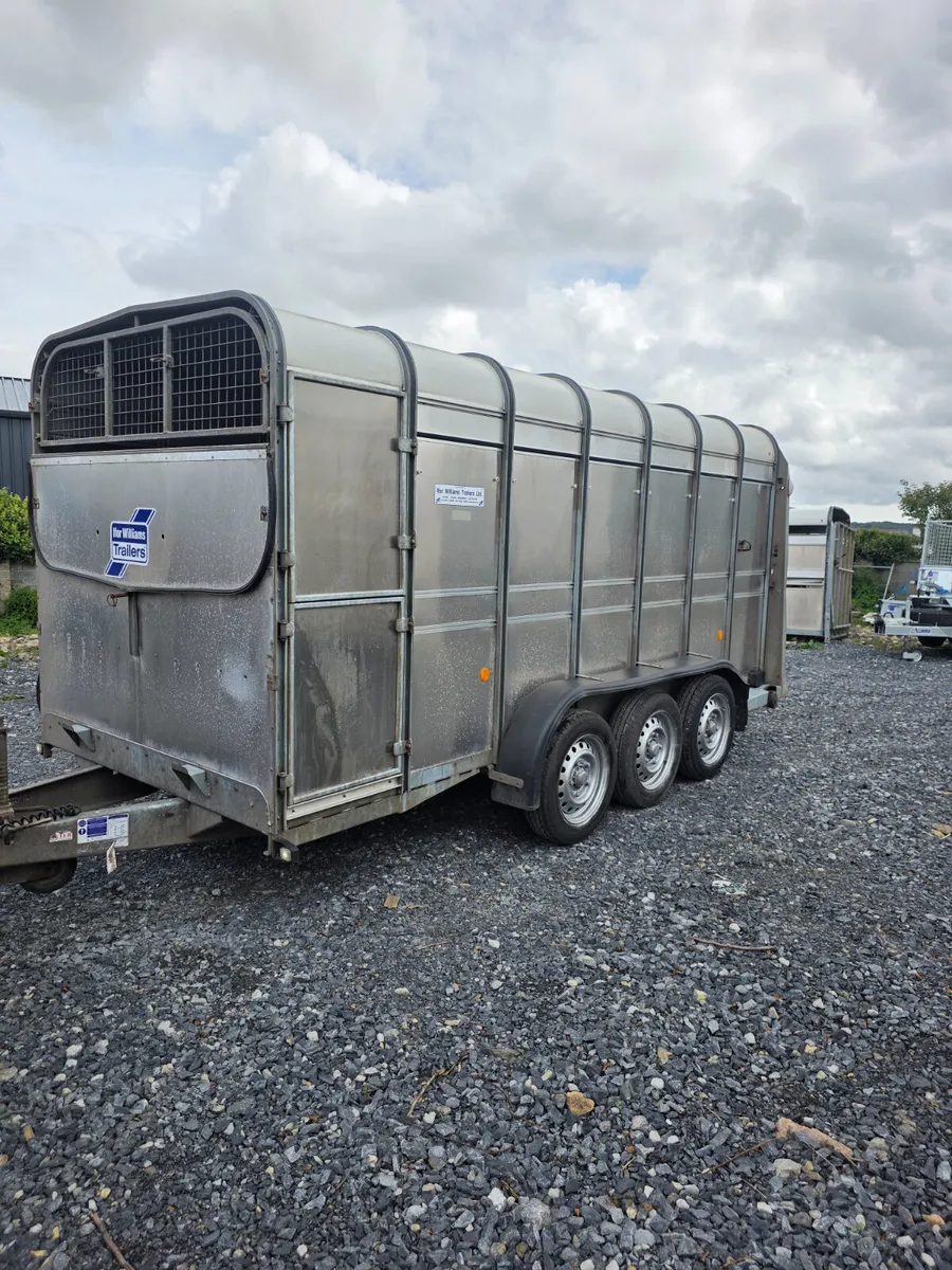 14ft ifor Williams cattle trailer as new - Image 2