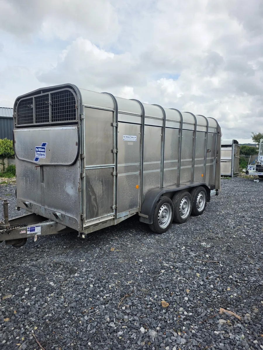 14ft ifor Williams cattle trailer as new - Image 3