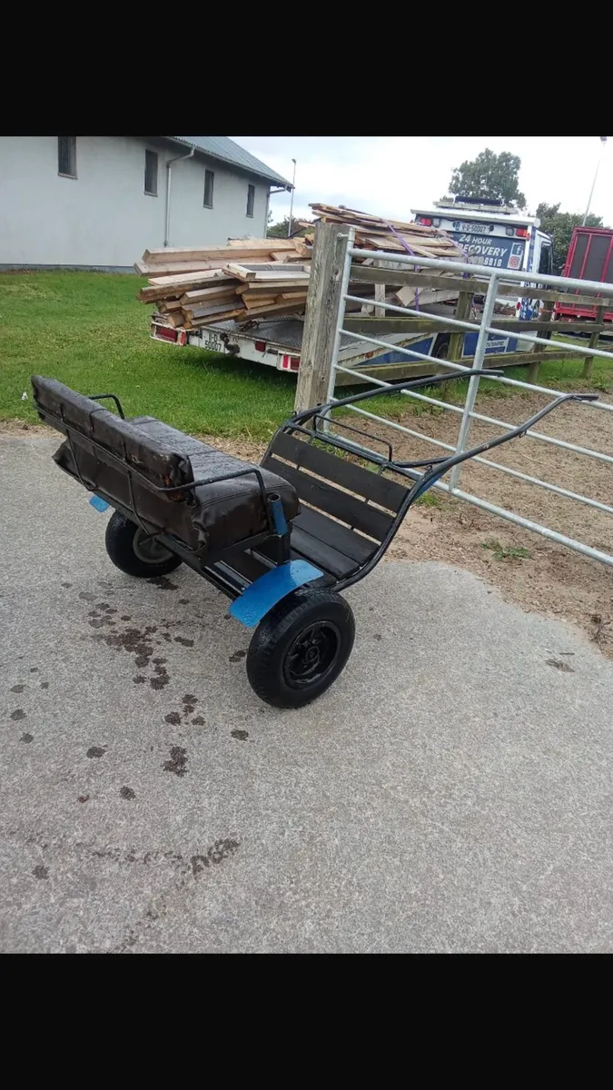 Shetland Cart - Image 2