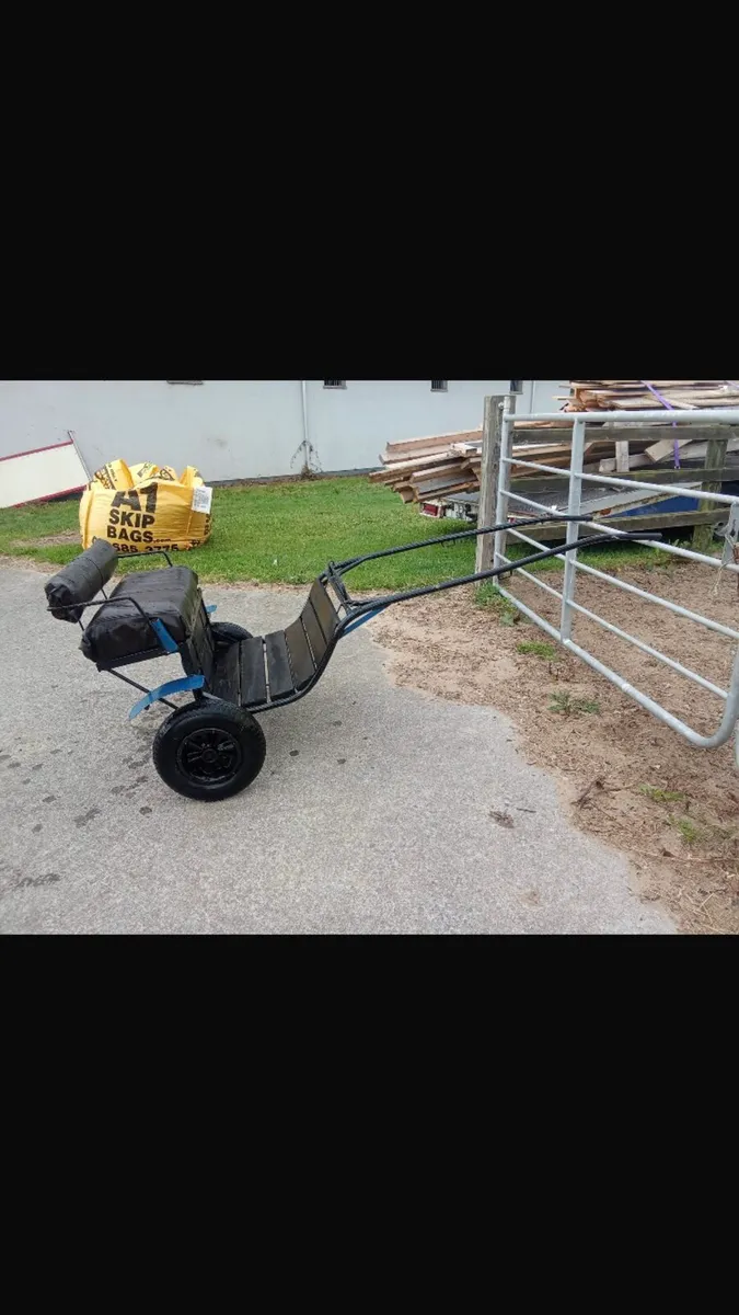 Shetland Cart - Image 4