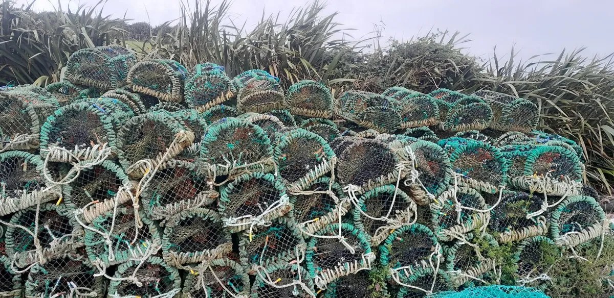 Lobster pots - Image 2