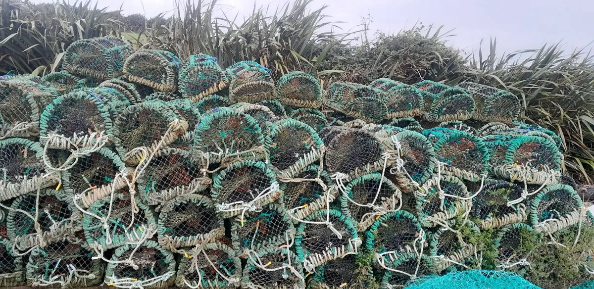 Lobster pots - Image 1