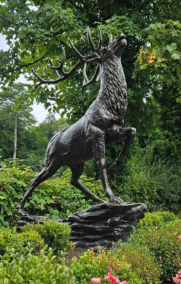 Stag Statues Lifesize - Image 2